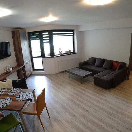 Riky Apart Mountain View Apartment Sinaia Exterior photo